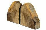 Petrified Wood Bookends - Oregon #202309-1